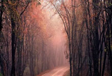 2018年世界杯法国和克罗地亚的决赛比分是多少?